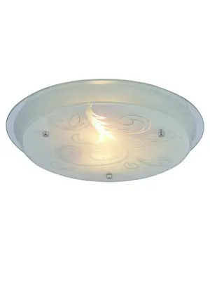Потолочный светильник Arte Lamp A4865PL-2CC