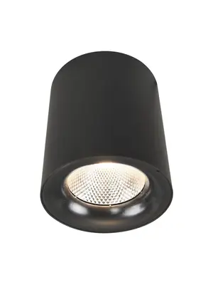 Потолочный светодиодный светильник Arte Lamp Facile A5118PL-1BK