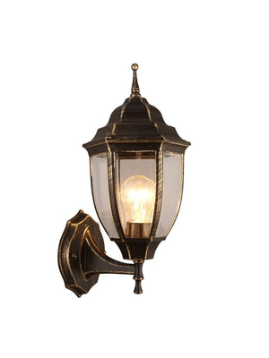 Уличный настенный светильник Arte Lamp Pegasus A3151AL-1BN