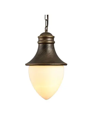 Уличный подвесной светильник Arte Lamp Vienna A1317SO-1BN