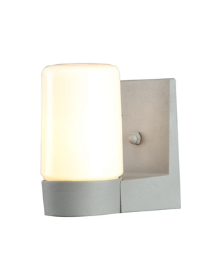 Уличный настенный светильник Arte Lamp Spasso A8058AL-1GY