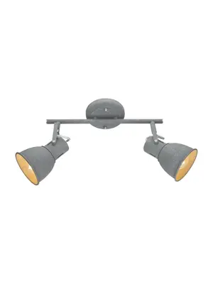 Спот Arte Lamp A1677PL-2GY
