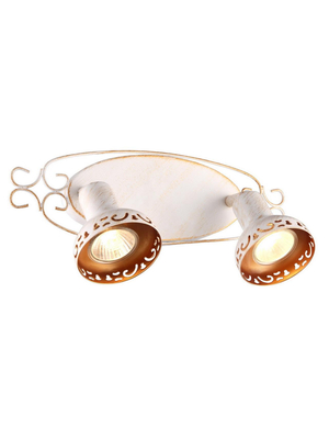 Спот Arte Lamp Focus A5219AP-2WG