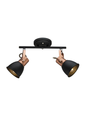 Спот Arte Lamp A1677PL-2BK