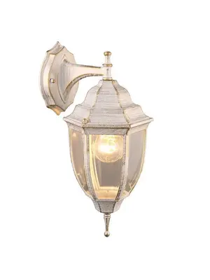 Уличный настенный светильник Arte Lamp Pegasus A3152AL-1WG