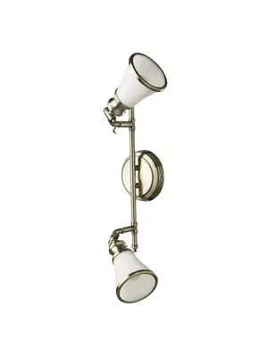 Спот Arte Lamp 81 A9231AP-2AB