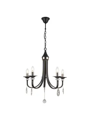 Подвесная люстра Arte Lamp Dallas A8540LM-5BK