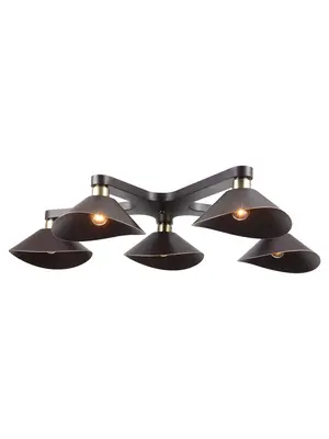 Потолочная люстра Lussole Loft LSP-9535