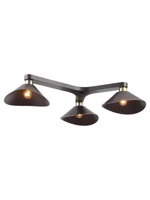 Потолочная люстра Lussole Loft LSP-9534