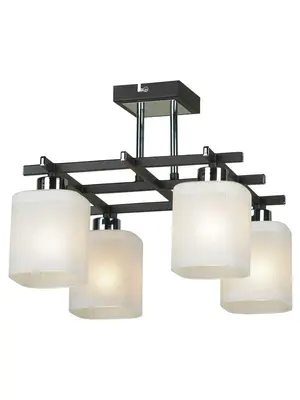 Потолочная люстра Lussole Costanzo LSL-9007-04