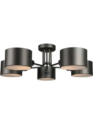 Потолочная люстра Omnilux Lisera OML-54507-05