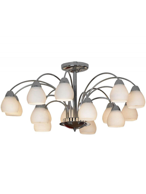 Потолочная люстра Lussole Apiro LSF-2403-15