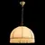 Подвесной светильник Arte Lamp Bianca A2116SP-1WG, изображение 3
