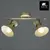 Спот Arte Lamp Baltimore A1406AP-2WG, изображение 4