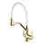 Смеситель для кухни с гибким изливом Rose R558E золото