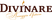 Divinare логотип бренда светильников