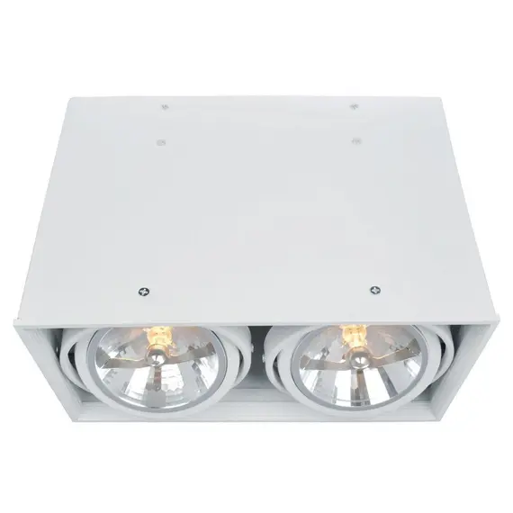 Потолочный светильник Arte Lamp Cardani A5936PL-2WH