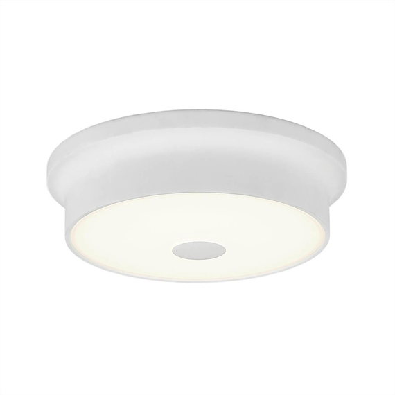 Потолочный светодиодный светильник Citilux Фостер-2 CL706210