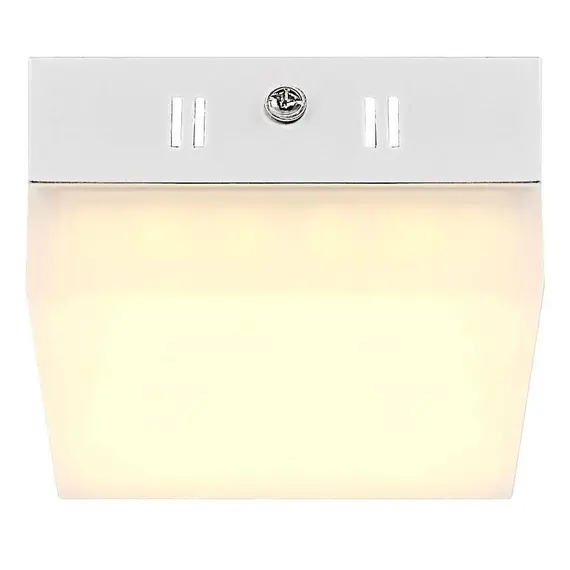 Потолочный светодиодный светильник Globo Merula 41650