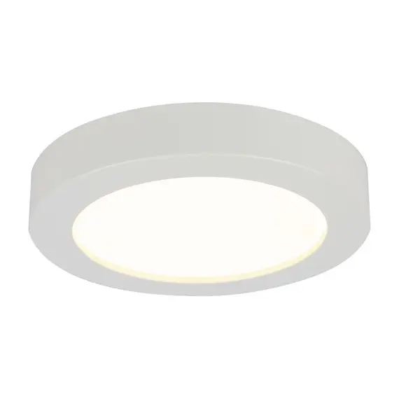 Потолочный светодиодный светильник Globo Paula 41605-20D