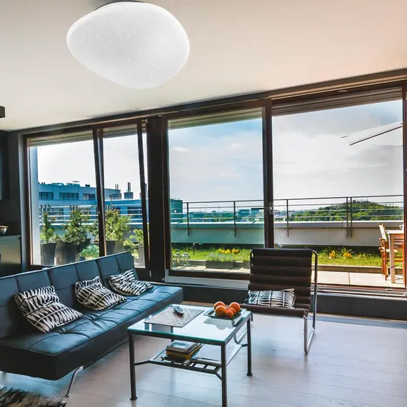 Настенно-потолочный светодиодный светильник Sonex Stone 2039/DL, изображение 2