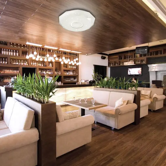 Настенно-потолочный светодиодный светильник Sonex Prisa 2057/ML, изображение 2