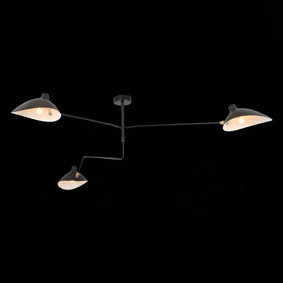 Потолочная люстра ST Luce Spruzzo SL305.402.03, изображение 4