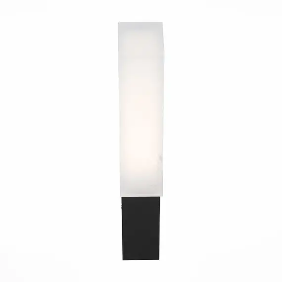 Уличный настенный светодиодный светильник ST Luce Posto SL096.411.02, изображение 2