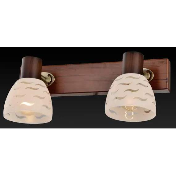 Спот Toplight Shayla TL3730Y-02BB, изображение 3