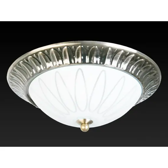 Накладной светильник Toplight Paulina TL5050Y-02AB, изображение 2