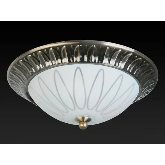 Накладной светильник Toplight Paulina TL5050Y-02AB, изображение 3