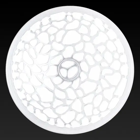 Настенный светильник Toplight Rosemary TL9111Y-02WH, изображение 2