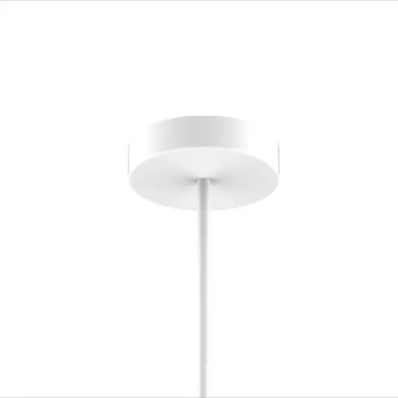 Подвесная светодиодная люстра Favourite Duplex 2325-12P, изображение 3