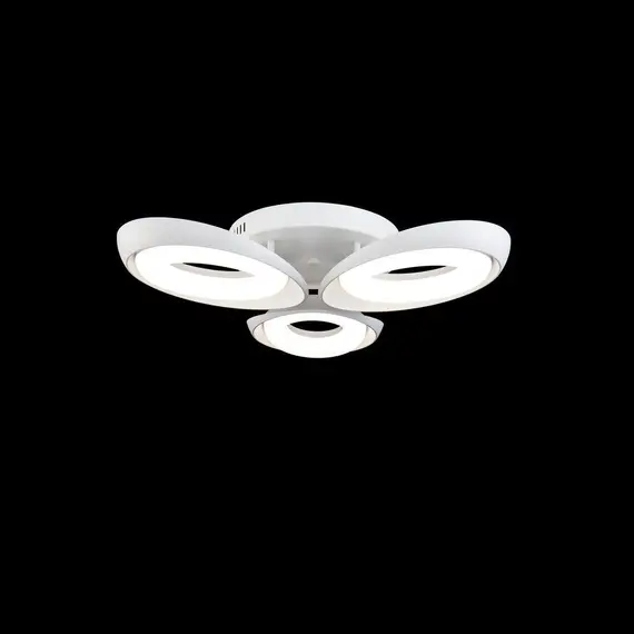 Потолочная светодиодная люстра Freya Elena FR6007CL-L51W, изображение 2