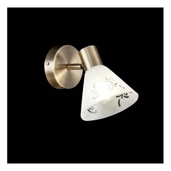 Спот Freya Paola FR7001WL-01BZ, изображение 2