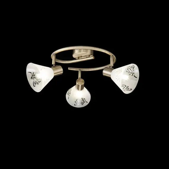 Спот Freya Paola FR7001CL-03BZ, изображение 2