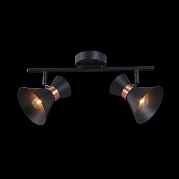 Спот Freya Izzy FR4273-CW-02-B, изображение 4