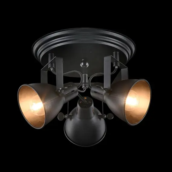 Спот Freya Ibbi FR4276-CL-03R-B, изображение 4