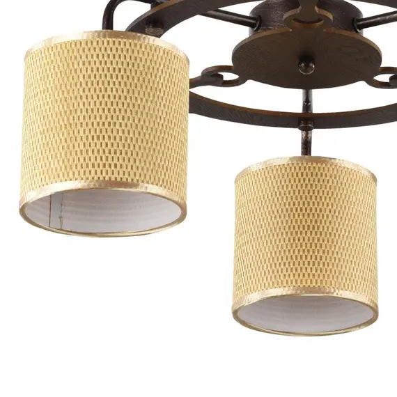 Потолочная люстра Freya Timone FR5100-CL-03-BR, изображение 3