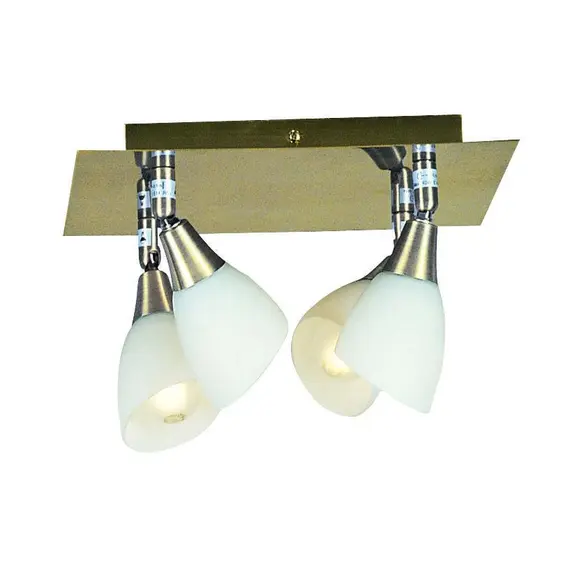 Спот Globo Frank 5451-4, изображение 2