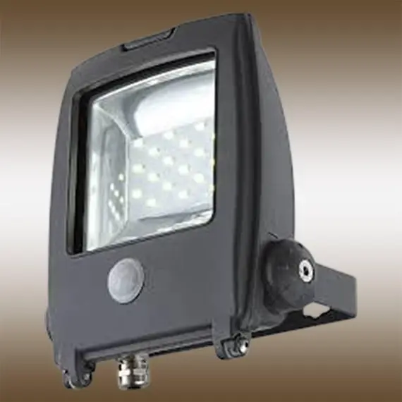 Прожектор светодиодный с датчиком движения Globo Projecteur I 34219S, изображение 2