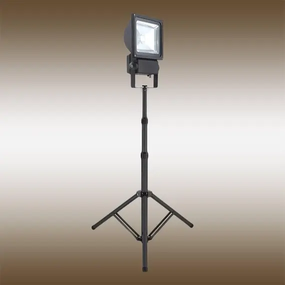 Прожектор светодиодный Globo Projecteur 34117AS, изображение 2