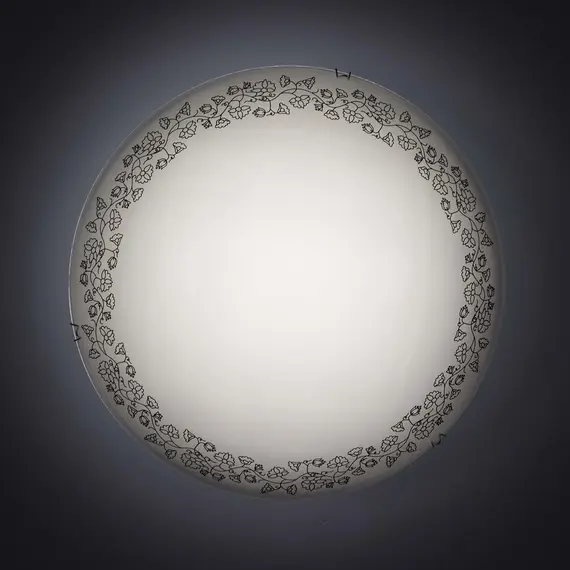 Настенный светильник Citilux Вьюнок CL917010, изображение 2