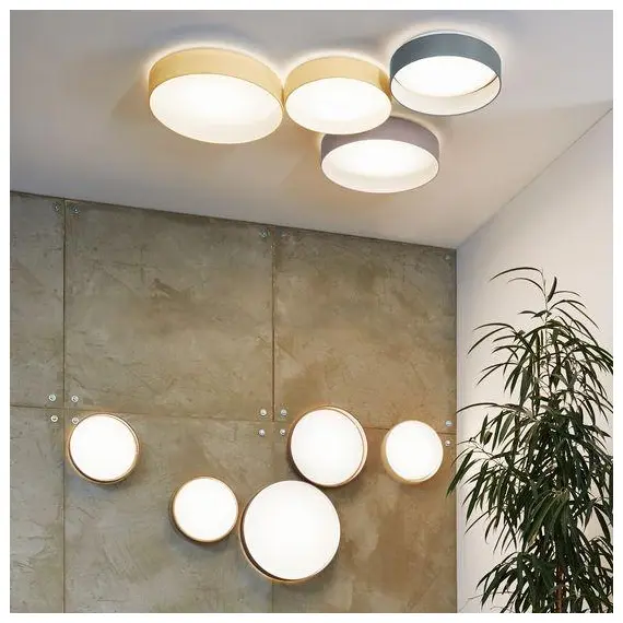 Накладной светильник Eglo Palomaro 93397, изображение 3