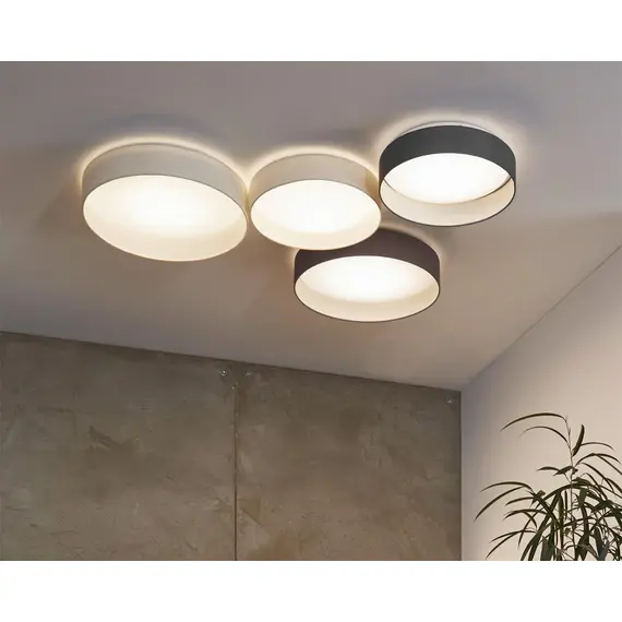 Накладной светильник Eglo Palomaro 93397, изображение 2