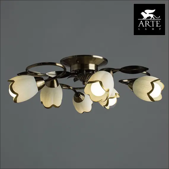 Потолочная люстра Arte Lamp 4 A6061PL-6AB, изображение 3