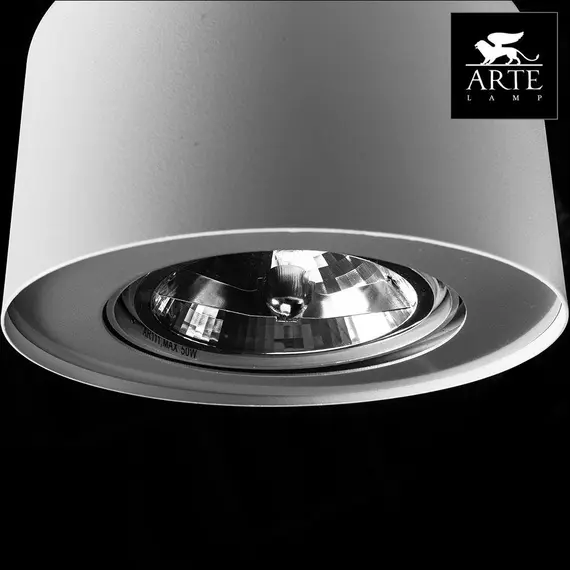 Потолочный светильник Arte Lamp Cliff A5643PL-1WH, изображение 3