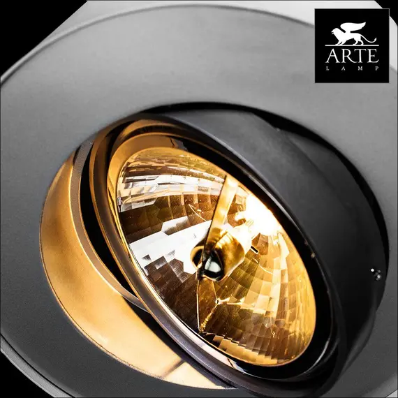 Потолочный светильник Arte Lamp Cliff A5643PL-1WH, изображение 2
