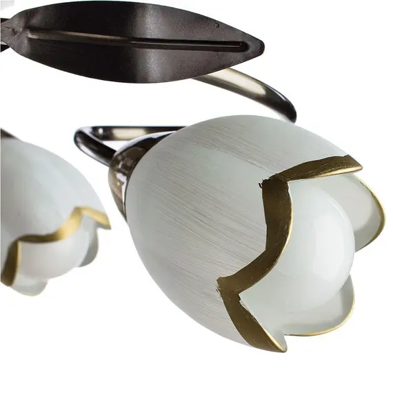 Потолочная люстра Arte Lamp 4 A6061PL-6AB, изображение 2