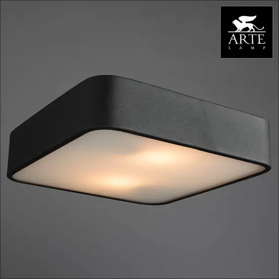 Потолочный светильник Arte Lamp Cosmopolitan A7210PL-2BK, изображение 3